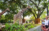 Thumbnail: Ultimate Tips to Zoo Negara