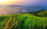 Thumbnail: Essential Guide to Broga Hill