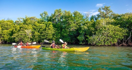 Tembara Kayak (Morning Session) - MalaysiaTravel