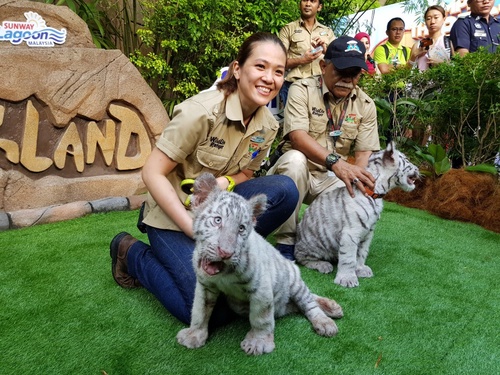 Sunway Lagoon Theme Park
