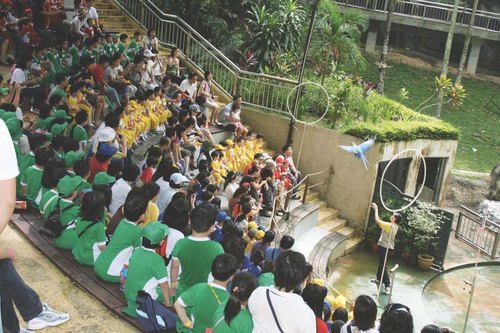 KL Bird Park Admission Ticket With One Way Transfer
