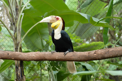 Zoo Negara Malaysia (Admission Ticket)