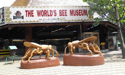 Zoo Negara Malaysia (Admission Ticket)