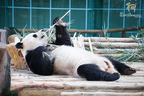 Zoo Negara Malaysia (Admission Ticket)