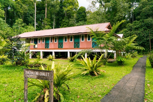 Tawau Hills Park & Plant4Borneo Elephant