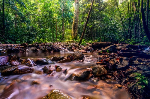 Batu Caves, Ramayana Cave & Kanching Falls Tour from Kuala Lumpur