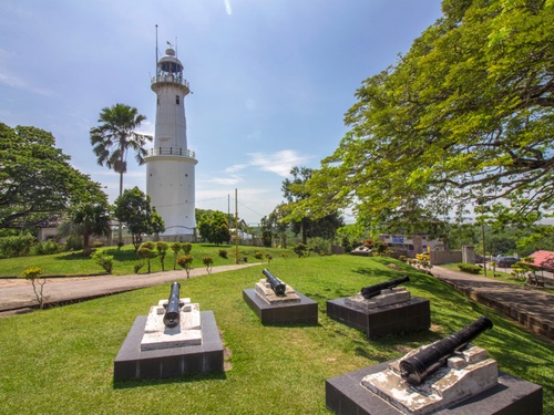 Kuala Selangor Fireflies & Blue Tears Evening Tour from Kuala Lumpur