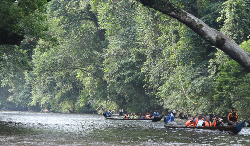 Taman Negara Private Day Tour