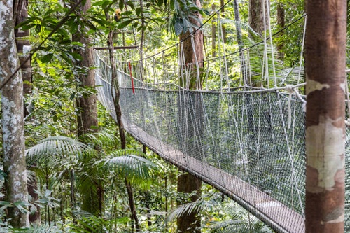 Taman Negara Private Day Tour