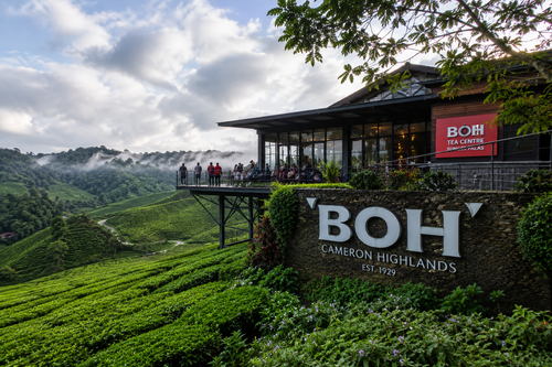 Cameron Highlands Day Tour