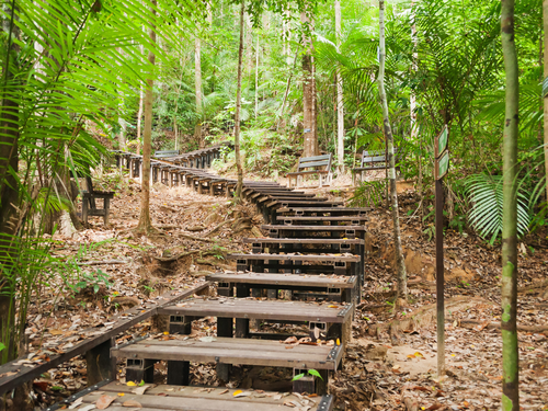 Taman Negara Private Day Tour