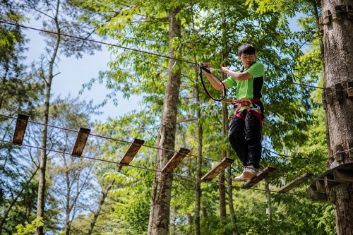 Kuala Lumpur Full-Day Skytrex Adventure & Batu Caves Tour with Skyline Views