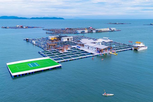 Forest Island Penang: Catamaran Cruise, Sea Activities & Seafood Dinner