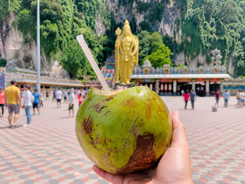 Batu Caves Half-Day Tour with Complimentary Fresh Coconut Water