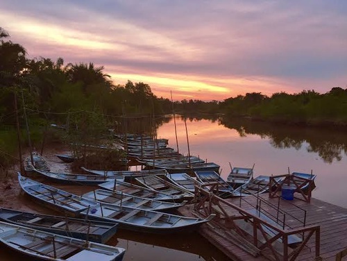 Glowing Kuala Selangor Firefly Tour