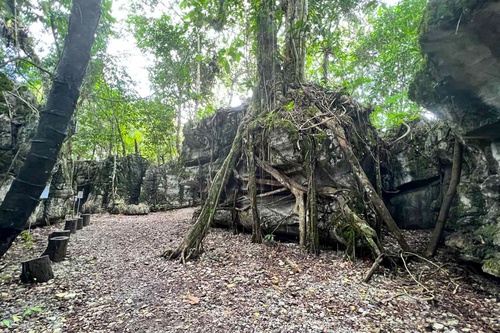 Kuching Day Tour: Weekend Markets, Caves & Heritage Sites