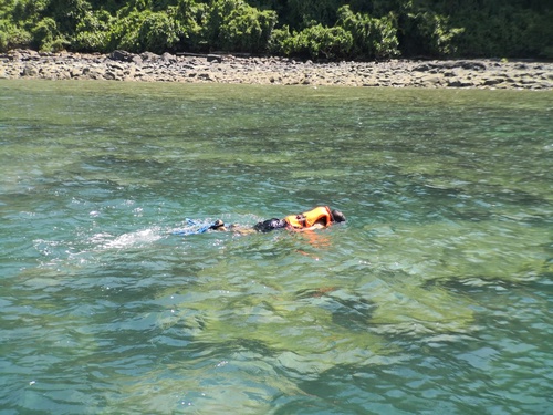 Satang Island Day Trip: Mangrove Wildlife Cruise, Irrawaddy Dolphins & Snorkelling