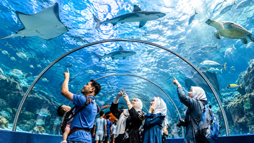 Langkawi: Underwater World Visit & Sunset Cruise with Dinner