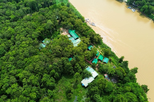 3D2N Tanini Kinabatangan Lodge & Wildlife Safari River Cruise