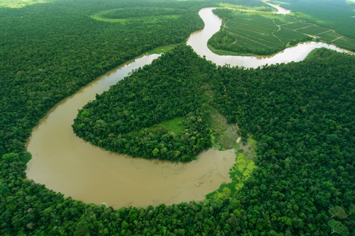 3D2N Tanini Kinabatangan Lodge & Wildlife Safari River Cruise