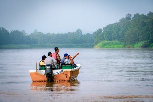 3D2N Tanini Kinabatangan Lodge & Wildlife Safari River Cruise