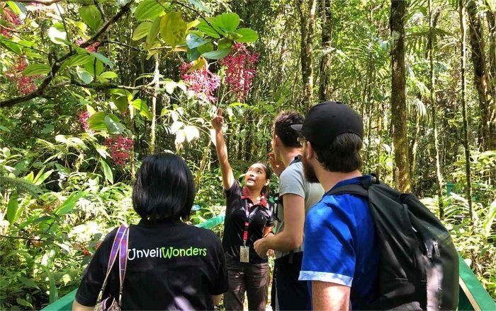 4D3N Kota Kinabalu Highlights and North Borneo Sunset Cruise